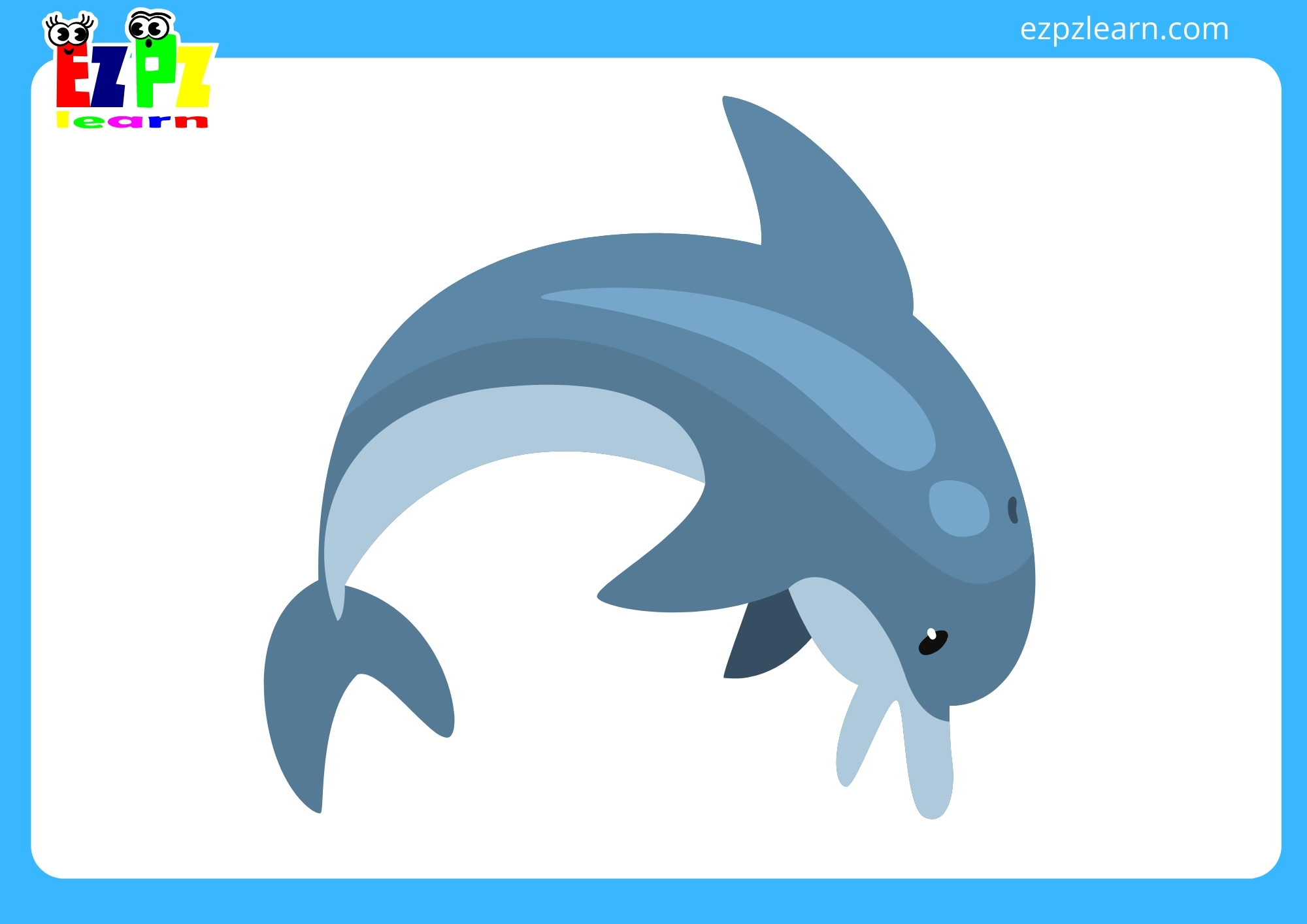 dolphin
